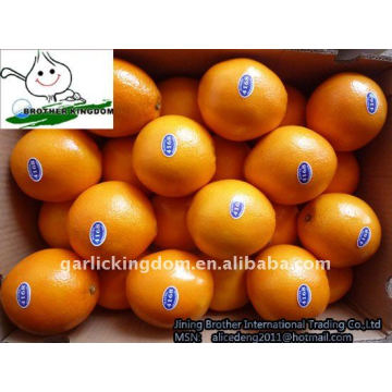 Mejor naranja ombligo de origen